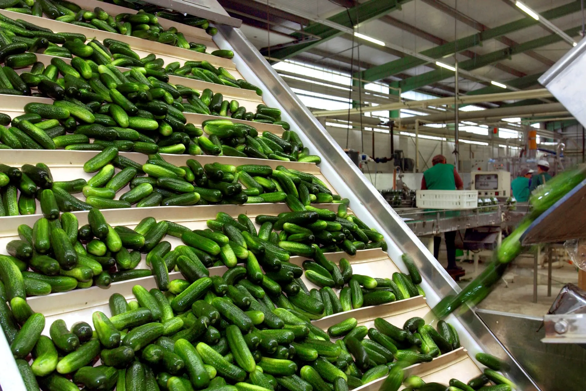 Conveyors